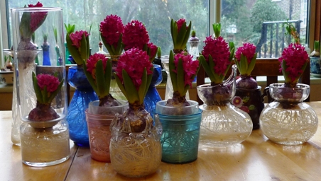 Jan Bos 2011-2012
