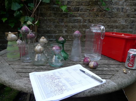 hyacinth vases