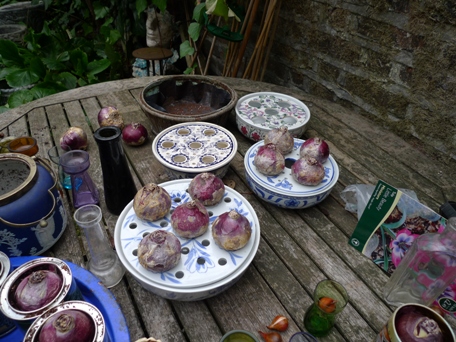 bulb bowls and pots