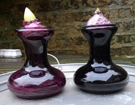 Tye hyacinth vase
