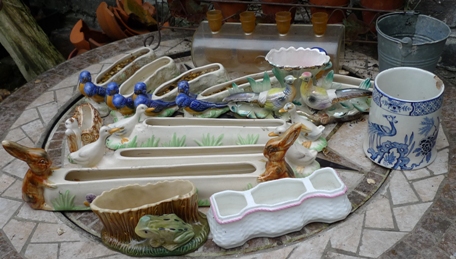 crocus pots