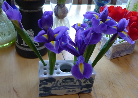 purple irises in flower brick