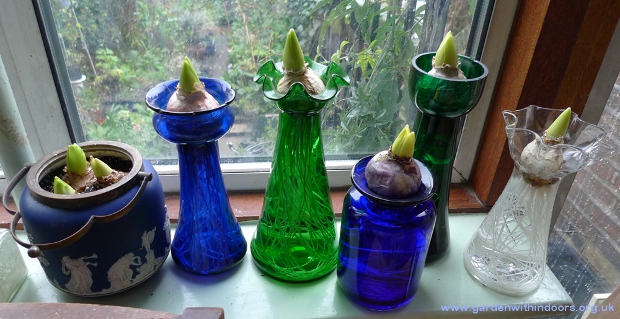 hyacinth vases