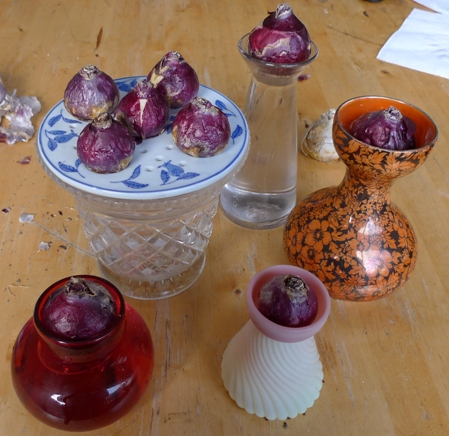 hyacinth vases
