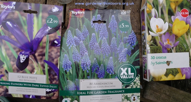 bulb packages
