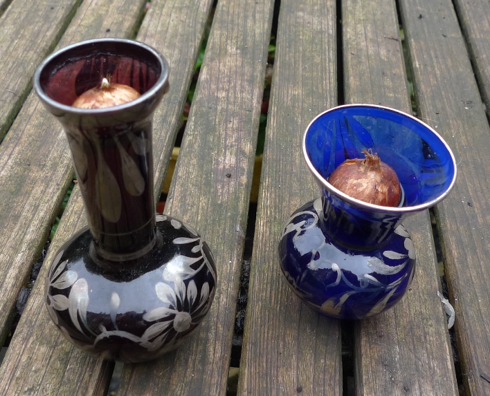 crocus bulbs in vases
