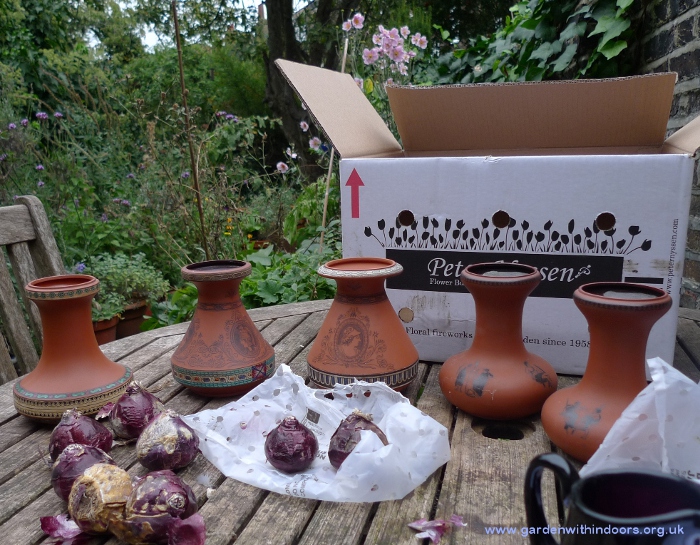 Victorian terracotta hyacinth vases